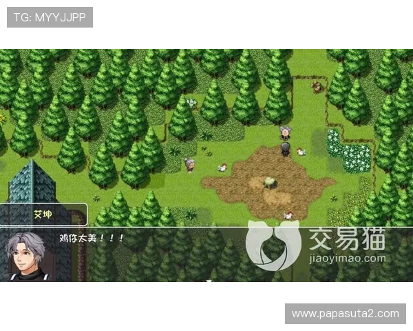 九游ag8新手指南详解，快速上手游戏技巧全攻略